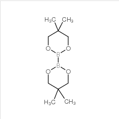 聯硼酸新戊二醇酯|201733-56-4 